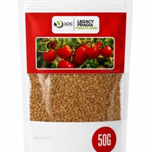 Legacy Pragia (Tomato Seed)